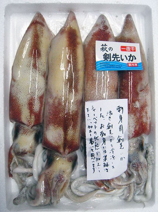 ■剣先いか刺身用 (2～3杯)