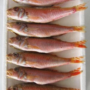 金太郎一夜干